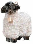 Sheep Black Faced